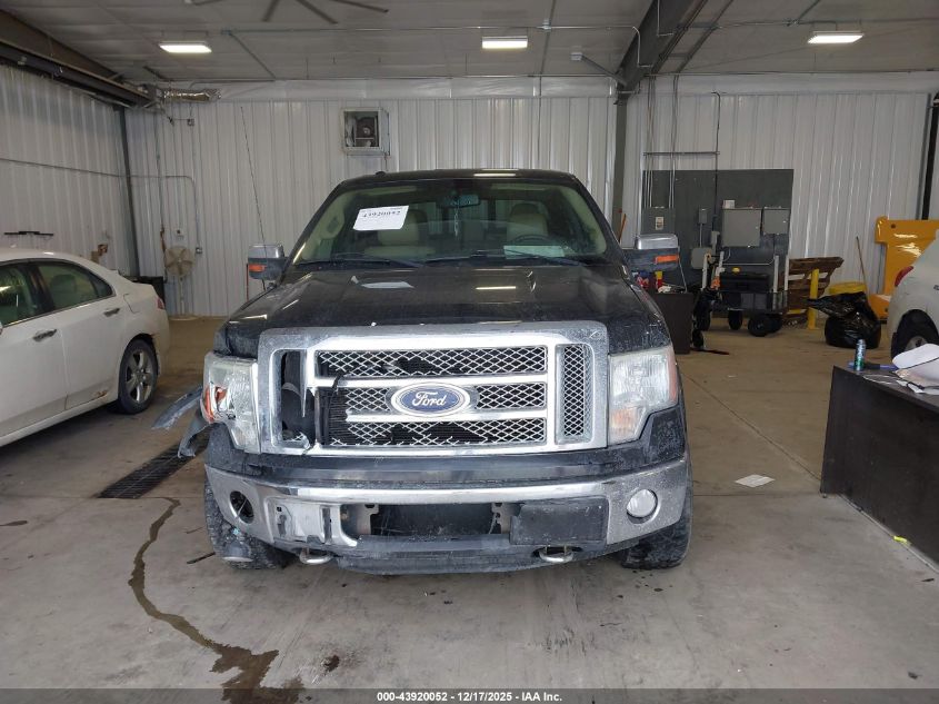 2011 Ford F-150 Lariat VIN: 1FTFW1EF4BFA42943 Lot: 43920052