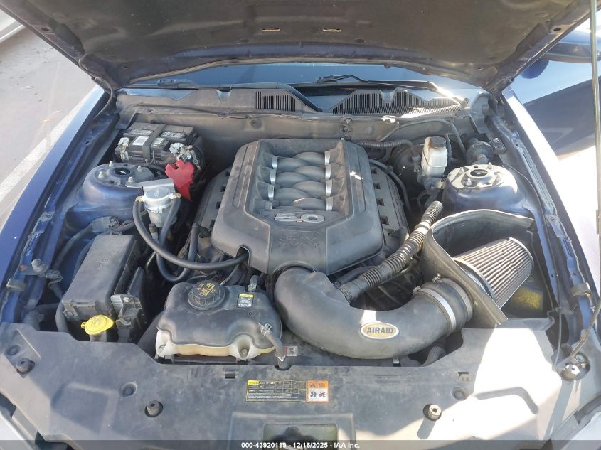 2011 Ford Mustang Gt Premium VIN: 1ZVBP8CF9B5139159 Lot: 43920119