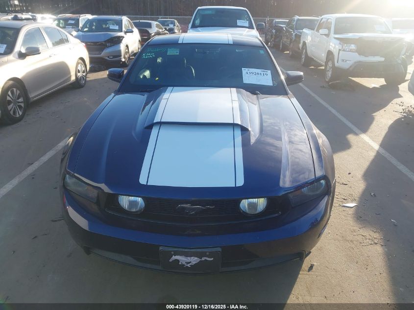 2011 Ford Mustang Gt Premium VIN: 1ZVBP8CF9B5139159 Lot: 43920119