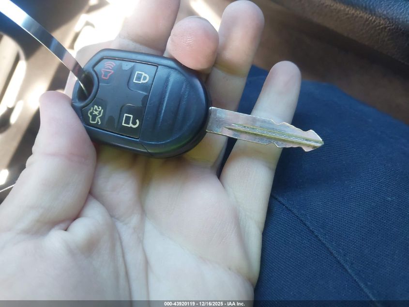 2011 Ford Mustang Gt Premium VIN: 1ZVBP8CF9B5139159 Lot: 43920119