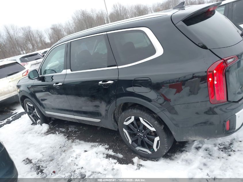 2024 Kia Telluride S VIN: 5XYP6DGC8RG549795 Lot: 43920141