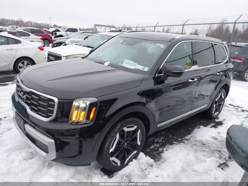 2024 Kia Telluride S VIN: 5XYP6DGC8RG549795 Lot: 43920141