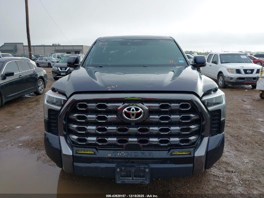 2023 Toyota Tundra Platinum VIN: 5TFNA5DB1PX099974 Lot: 43920157