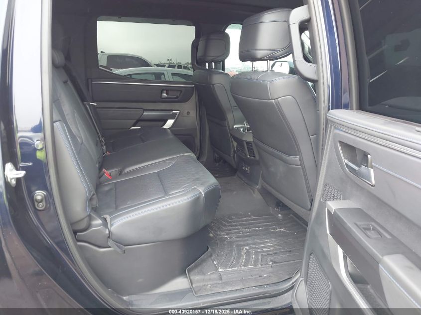 2023 Toyota Tundra Platinum VIN: 5TFNA5DB1PX099974 Lot: 43920157