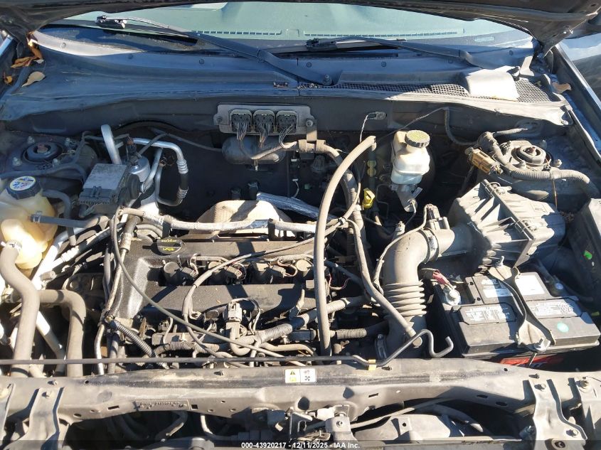 2006 Ford Escape Xls/Xls Manual VIN: 1FMYU02Z76KB33799 Lot: 43920217