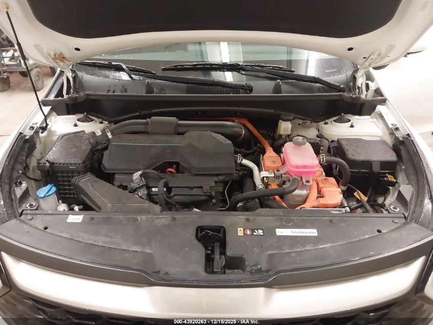 2024 Kia Sportage Hybrid Lx VIN: KNDPUCDG0R7141537 Lot: 43920263