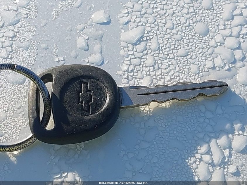 2002 Chevrolet Silverado 1500 Ls VIN: 2GCEC19V921225302 Lot: 43920328