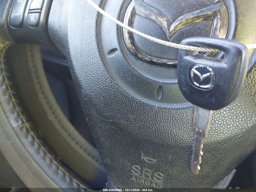 2009 Mazda Mazda3 I VIN: JM1BK32F491240987 Lot: 43920440