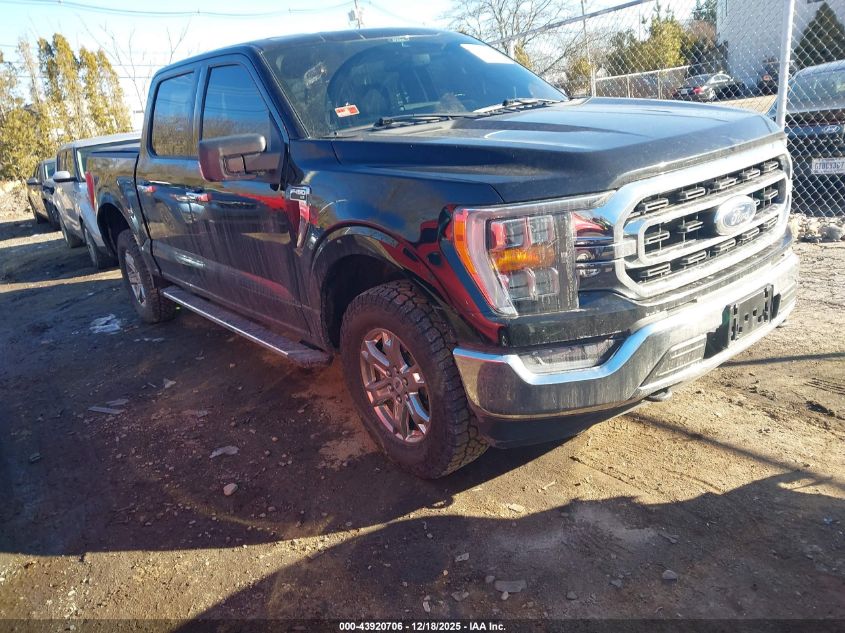 2022 Ford F-150