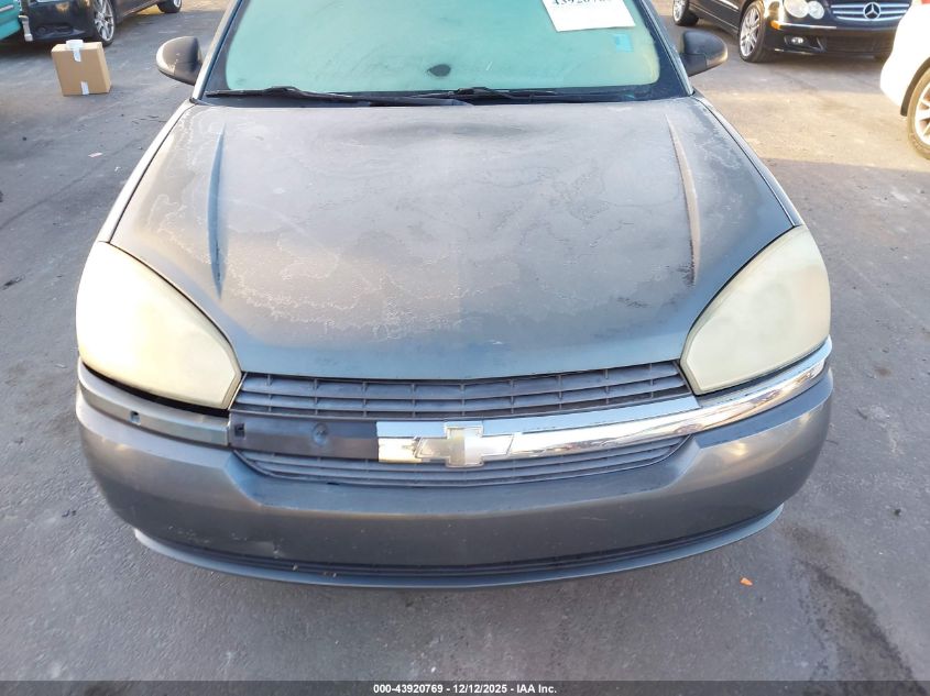 2004 Chevrolet Malibu Maxx Ls VIN: 1G1ZT648X4F210053 Lot: 43920769