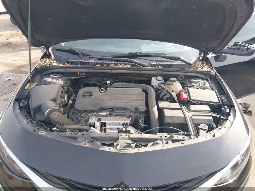 2023 Chevrolet Malibu Fwd Ls VIN: 1G1ZB5ST5PF117546 Lot: 43920775