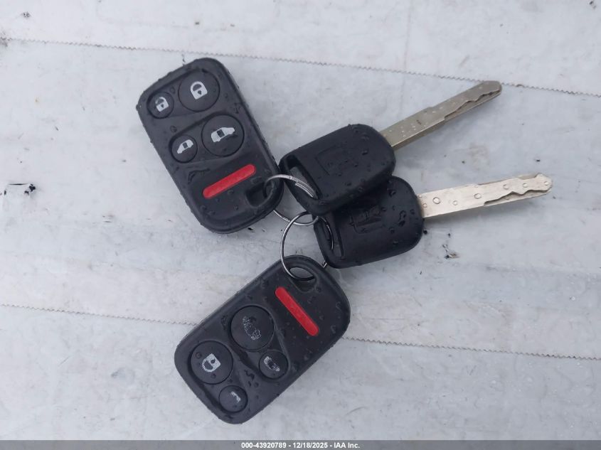 2003 Honda Odyssey Ex-L VIN: 5FNRL18083B072840 Lot: 43920789