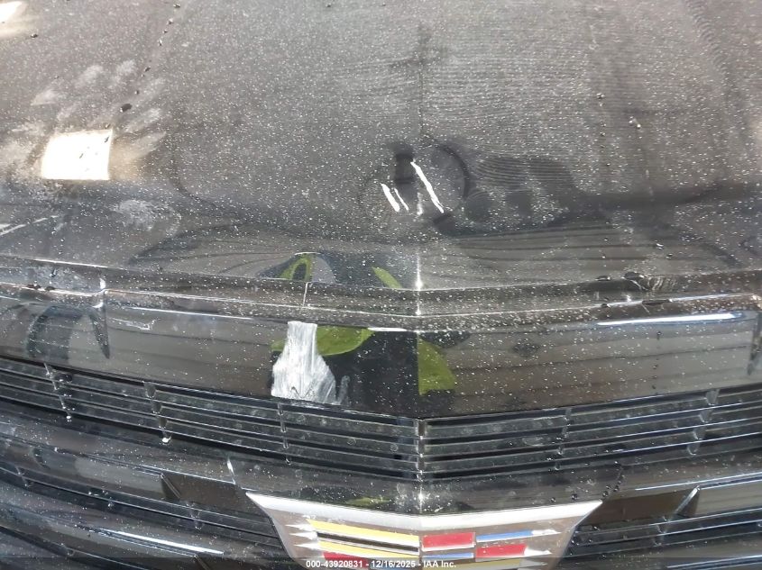 2019 Cadillac Escalade Luxury VIN: 1GYS4BKJ9KR346135 Lot: 43920831