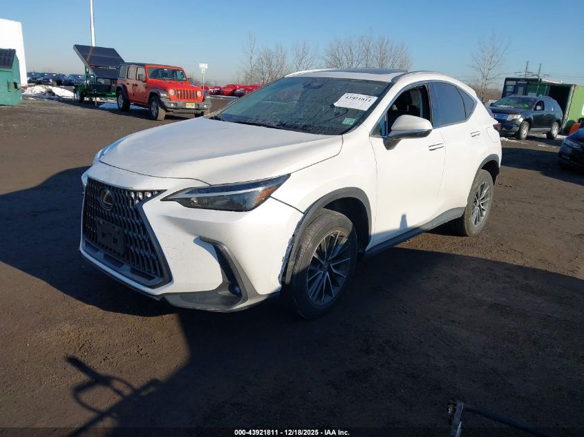 2022 Lexus Nx 350 VIN: 2T2AGCEZ9NC006168 Lot: 43921811
