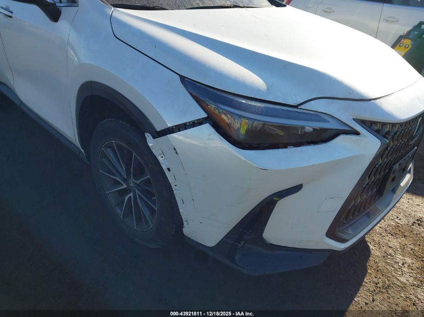 2022 Lexus Nx 350 VIN: 2T2AGCEZ9NC006168 Lot: 43921811