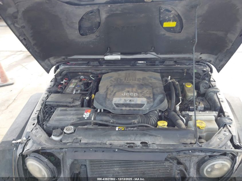 2017 Jeep Wrangler Unlimited Rubicon Hard Rock 4X4 VIN: 1C4BJWFG6HL555249 Lot: 43921982