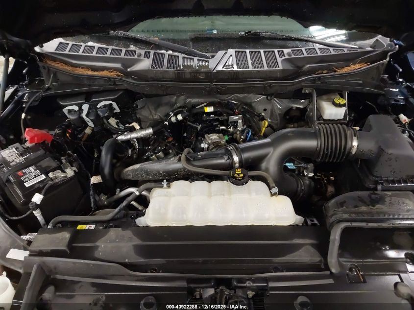 2023 Ford F-150 Xl VIN: 1FTEX1EP2PKD70698 Lot: 43922288