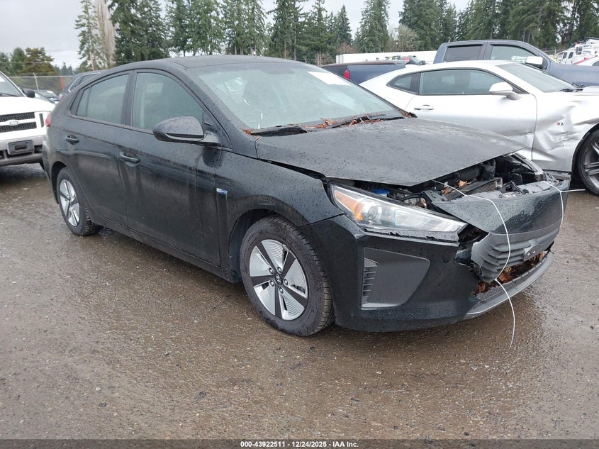 KMHC65LCXKU167889 2019 Hyundai Ioniq Hybrid Blue auction photo 1