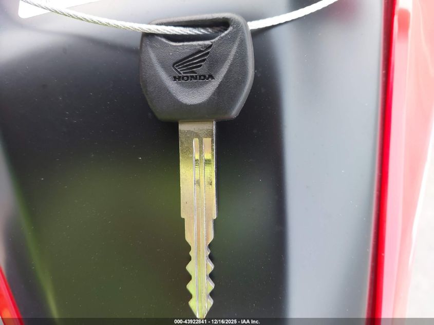 2024 Honda Crf300 La VIN: MLHND1652R5300896 Lot: 43922841