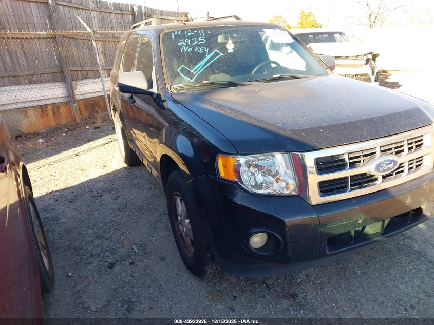 Vin: 1fmcu0d73akc85092, lot: 44418533, ford escape xlt 2010 img_1