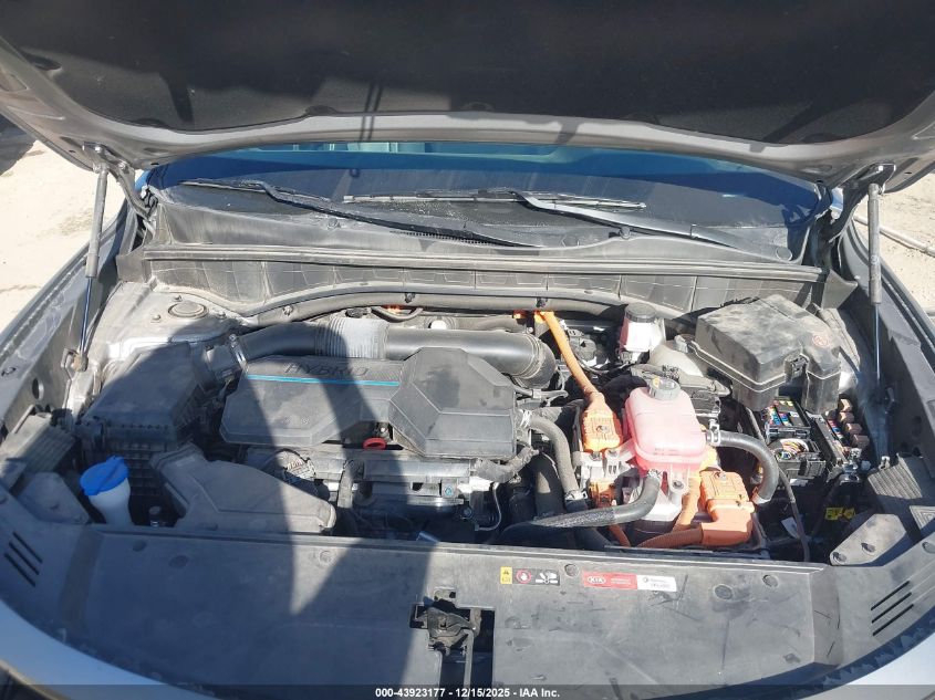 2022 Kia Sorento Hybrid Ex VIN: KNDRH4LG5N5062004 Lot: 43923177
