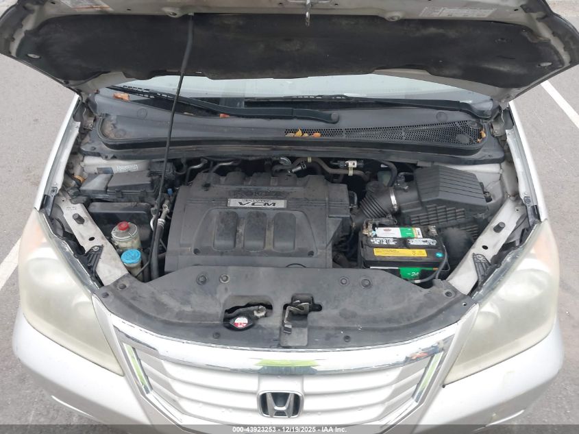 2008 Honda Odyssey Ex-L VIN: 5FNRL38648B402450 Lot: 43923253