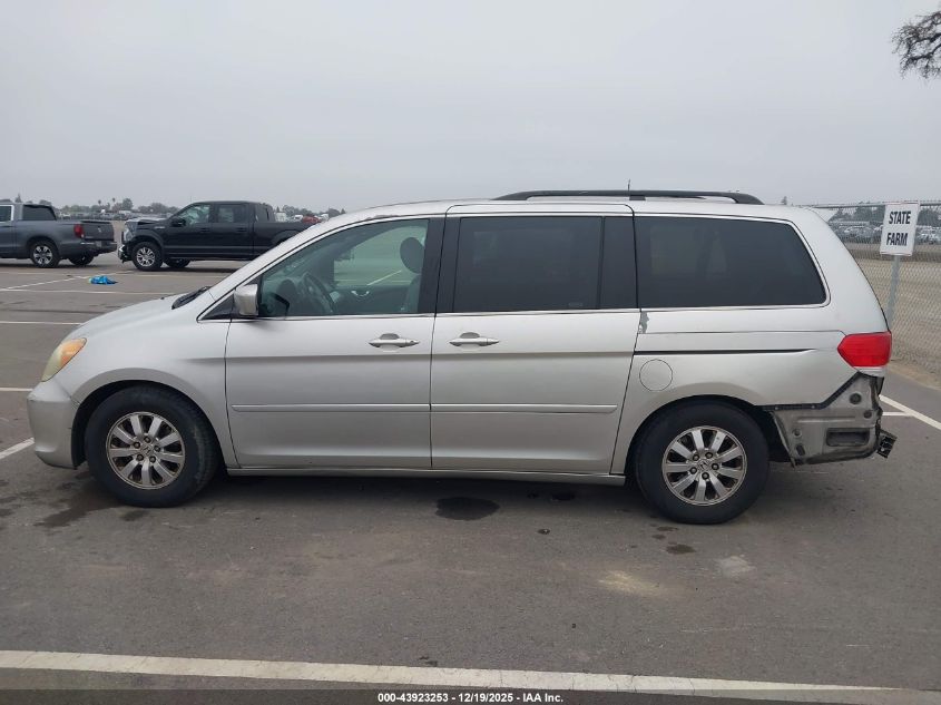2008 Honda Odyssey Ex-L VIN: 5FNRL38648B402450 Lot: 43923253