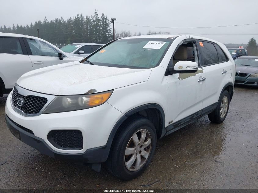 2011 Kia Sorento Lx VIN: 5XYKTCA17BG010479 Lot: 43923357