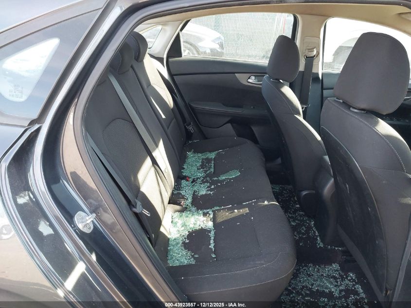 2019 Kia Forte Lxs VIN: 3KPF24AD9KE030461 Lot: 43923557