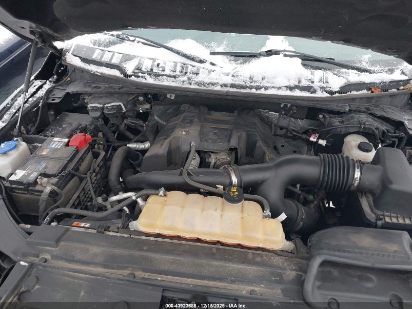 2016 Ford F-150 Xl VIN: 1FTEX1EP8GFD36872 Lot: 43923688