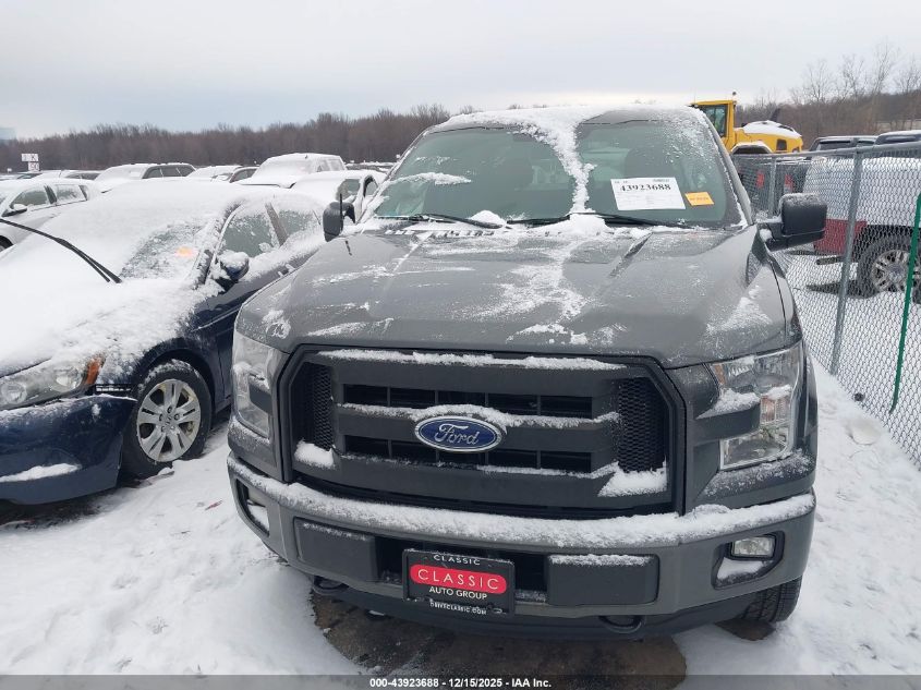 2016 Ford F-150 Xl VIN: 1FTEX1EP8GFD36872 Lot: 43923688