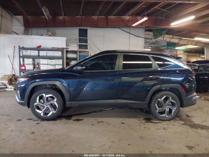 2022 Hyundai Tucson Hybrid Sel Convenience VIN: KM8JFCA19NU051486 Lot: 43923693