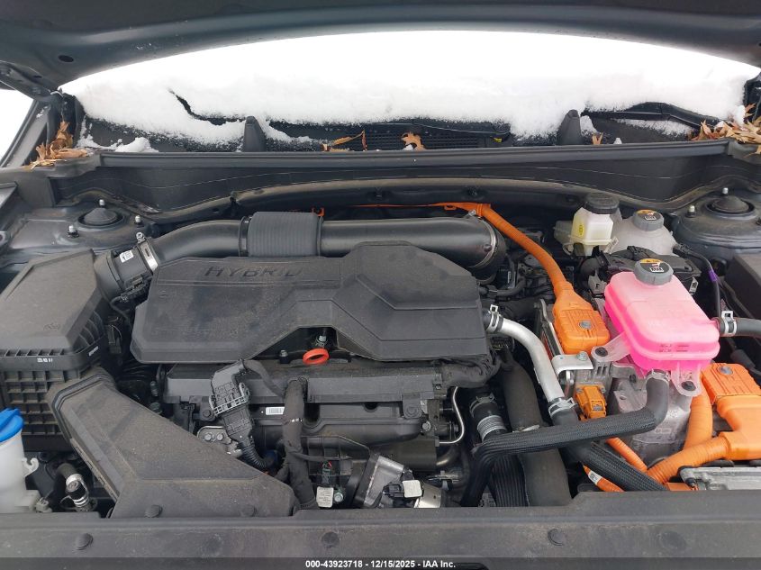 2025 Kia Sportage Hybrid Ex VIN: KNDPVCDG3S7198009 Lot: 43923718