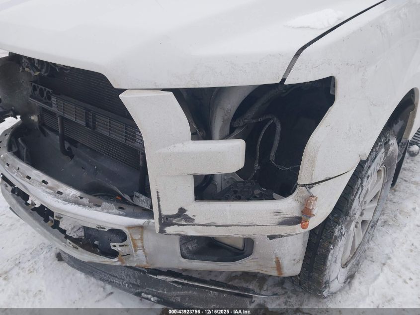 2015 Ford F-150 Xl VIN: 1FTFX1EF6FFD04979 Lot: 43923756