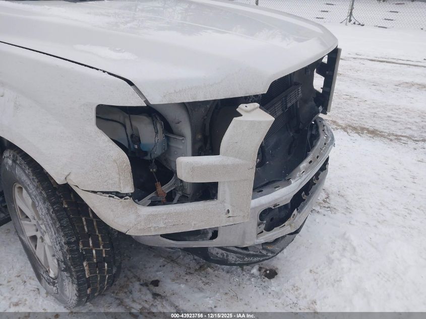 2015 Ford F-150 Xl VIN: 1FTFX1EF6FFD04979 Lot: 43923756