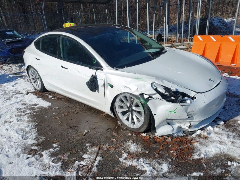 2021 Tesla Model 3 Standard Range Plus Rear-Wheel Drive VIN: 5YJ3E1EAXMF060011 Lot: 43923793