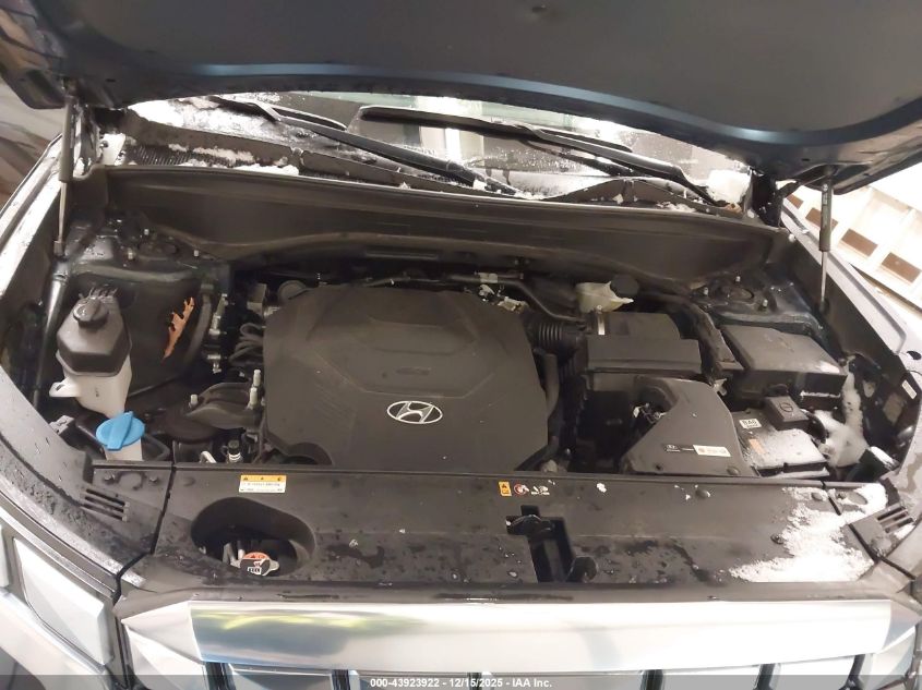 2024 Hyundai Palisade Calligraphy VIN: KM8R7DGE0RU737406 Lot: 43923922