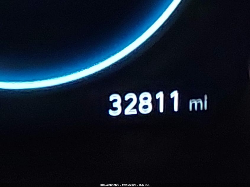 2024 Hyundai Palisade Calligraphy VIN: KM8R7DGE0RU737406 Lot: 43923922