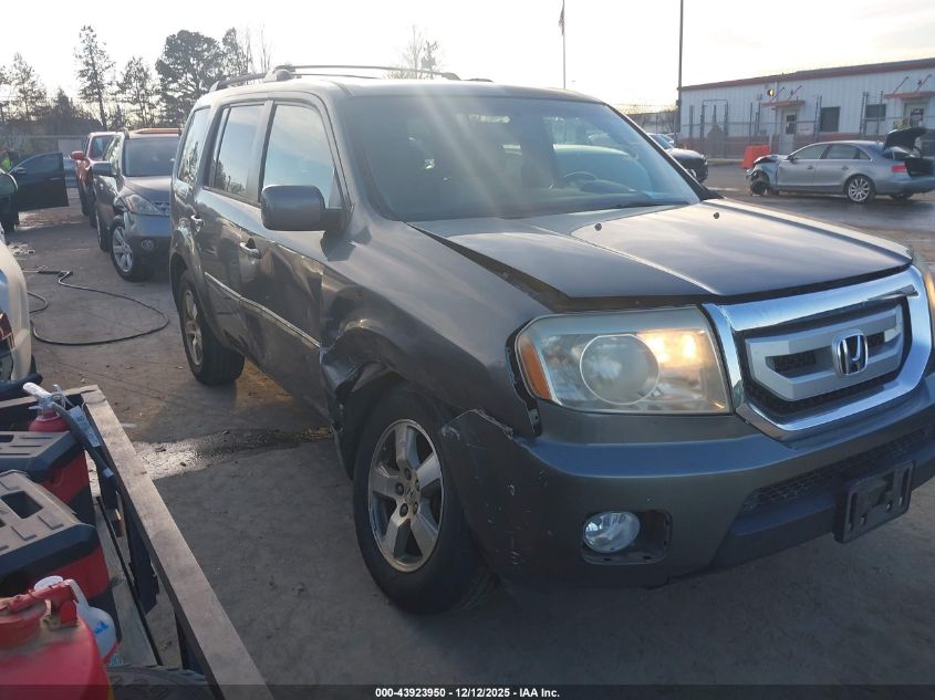 2009 Honda Pilot Ex-L VIN: 5FNYF38619B023622 Lot: 43923950