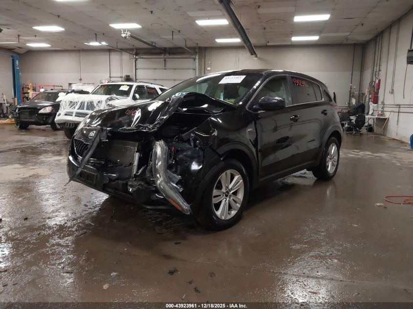 2018 Kia Sportage Lx VIN: KNDPMCAC5J7486231 Lot: 43923961