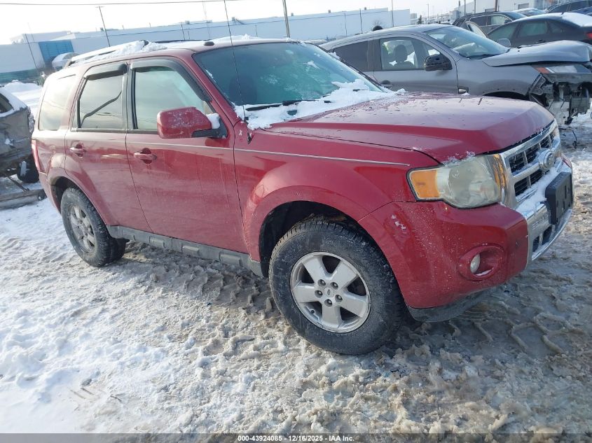 2010 Ford Escape Limited VIN: 1FMCU9EGXAKB56723 Lot: 43924085
