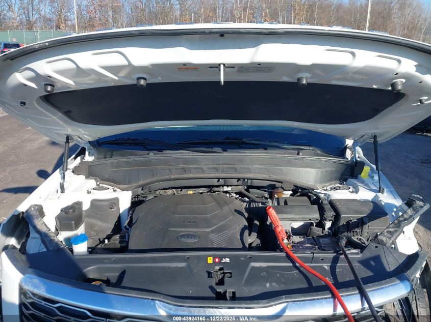 2020 Kia Telluride Ex VIN: 5XYP3DHC3LG008149 Lot: 43924160