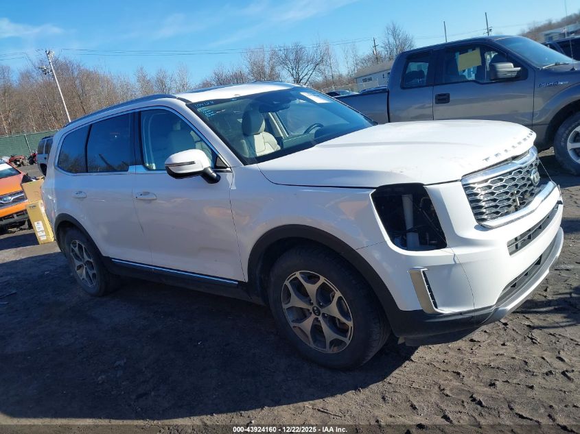2020 Kia Telluride Ex VIN: 5XYP3DHC3LG008149 Lot: 43924160