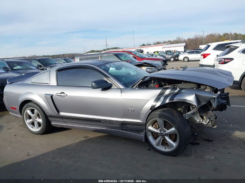2006 Ford Mustang Gt VIN: 1ZVHT82H365171698 Lot: 43924324