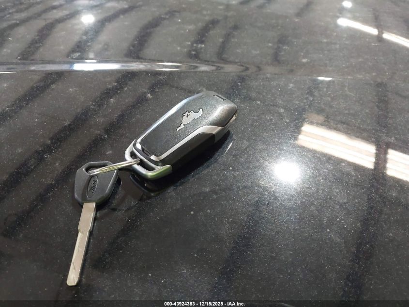 2017 Ford Mustang V6 VIN: 1FA6P8AM1H5265665 Lot: 43924383