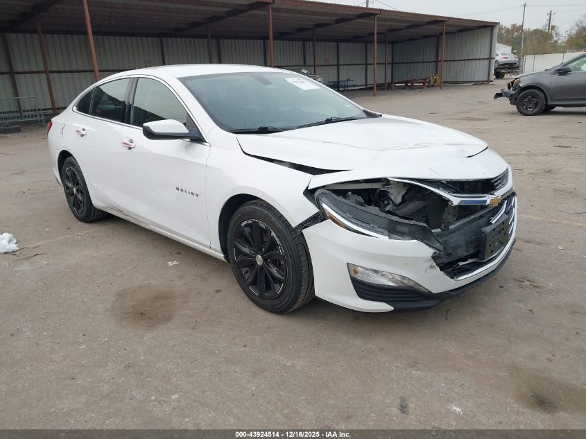 TOYOTA FJ CRUISER FJ CRUISER