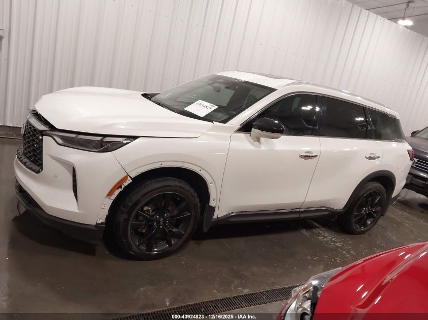 2023 Infiniti Qx60 Luxe Awd VIN: 5N1DL1FS8PC351847 Lot: 43924823