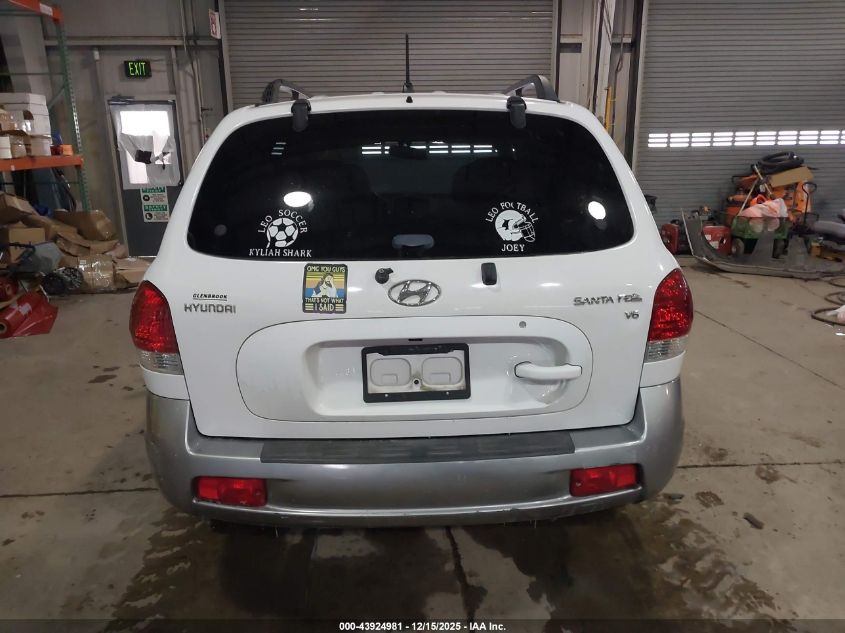 2005 Hyundai Santa Fe Gls VIN: KM8SC13D45U870804 Lot: 43924981