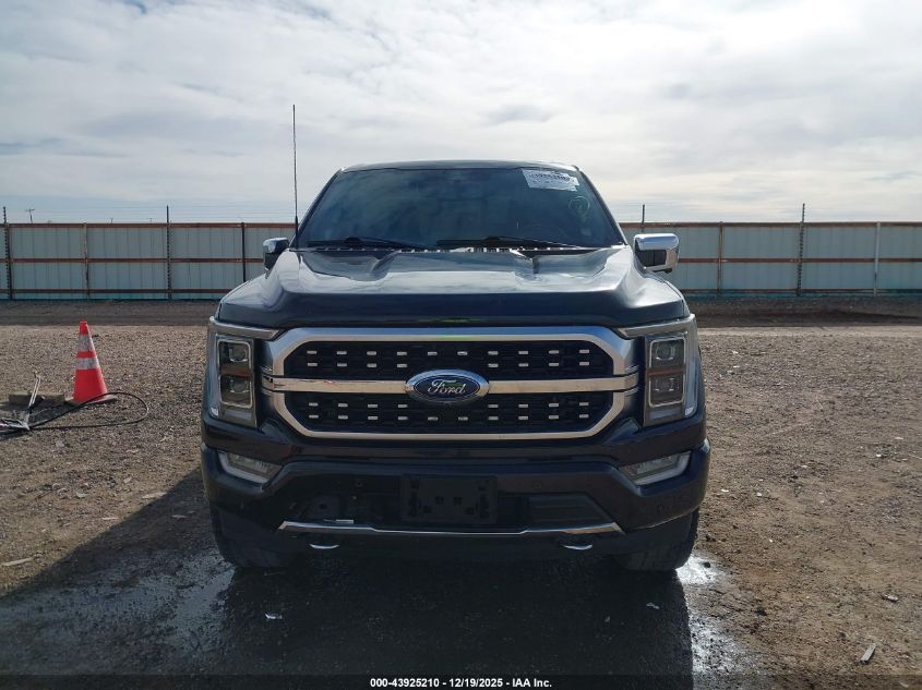 2023 Ford F-150 Platinum VIN: 1FTFW1E83PFB29998 Lot: 43925210