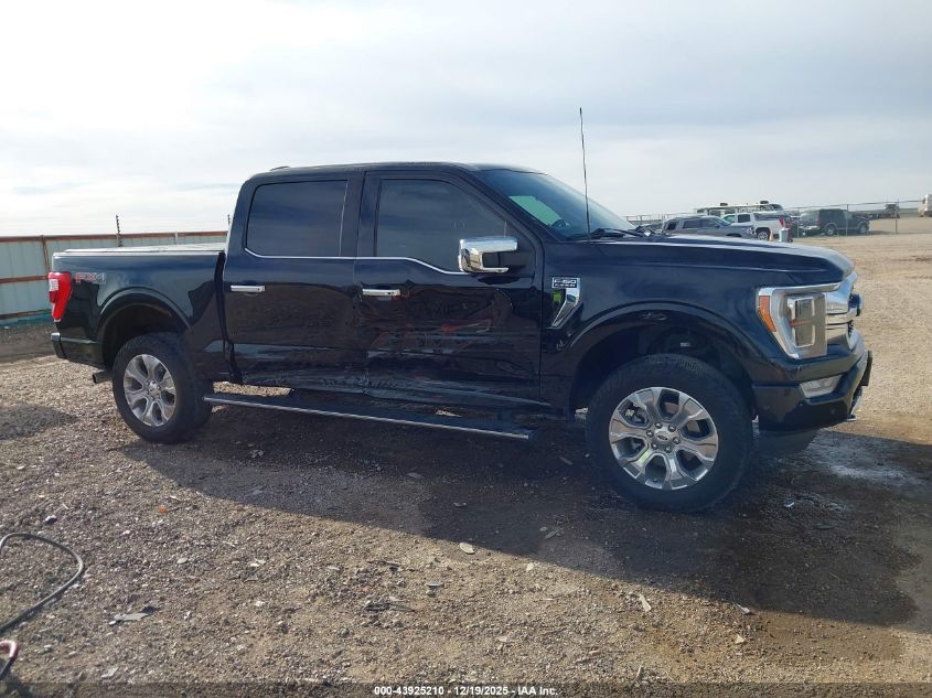 2023 Ford F-150 Platinum VIN: 1FTFW1E83PFB29998 Lot: 43925210